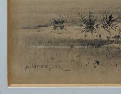  / Hradiště / Karel Liebscher