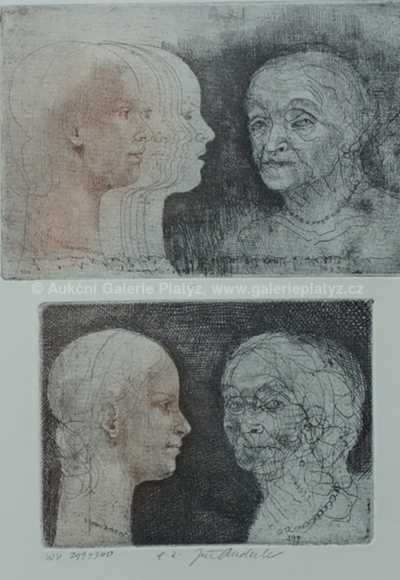  / Hlavy / Jiří Anderle