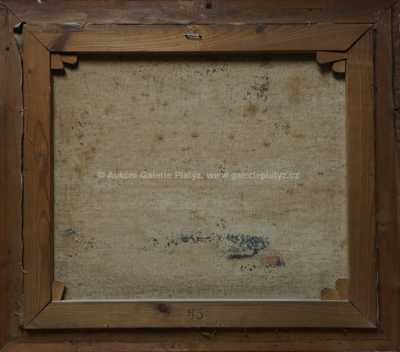  / Květinové zátiší / Václav Polívka