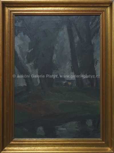 Jan Kojan - Průhled na Pražský hrad