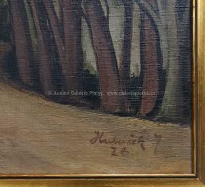  / Z Korsiky / Josef Hubáček