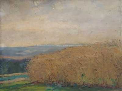  / Zralé žito / Karel Holec