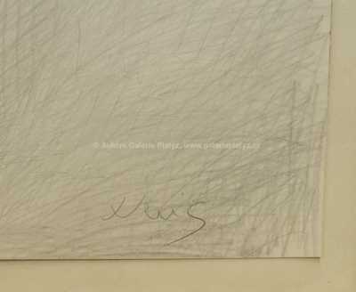  / Španělka / Jaroslav Veris (Zamazal)