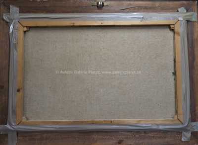  / Podzim na Kampě / Karel Hodr