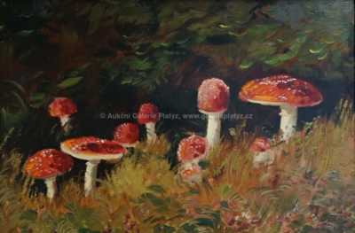  / Mochomůrky / Karel Jan Sigmund