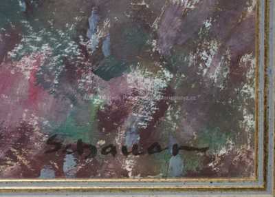  / Vřesoviště / Karel Schauer