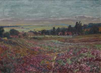  / Vřesoviště / Karel Schauer