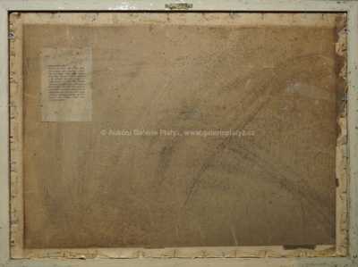  / Vřesoviště / Karel Schauer