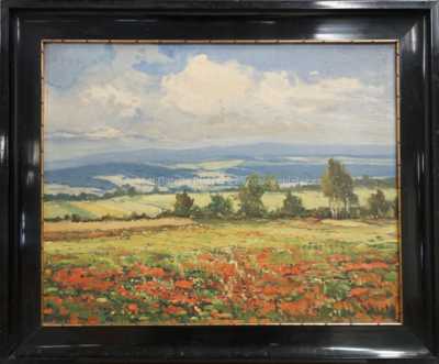 Václav Stein - Rozkvetlé pole