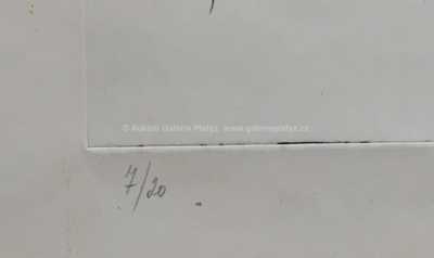  / Most / Jan  Smetana