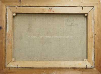  / Pražský hrad / František Líbal