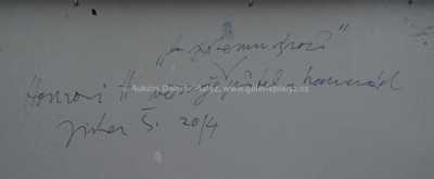  / Akt / Jiří Šorm