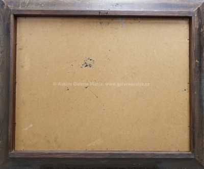  / Most v Praze / Bedřich  Feigl