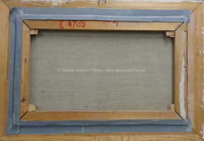  / Na břehu rybníka / František Líbal