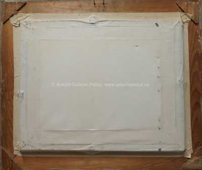  / Trosky / Emil Schovánek