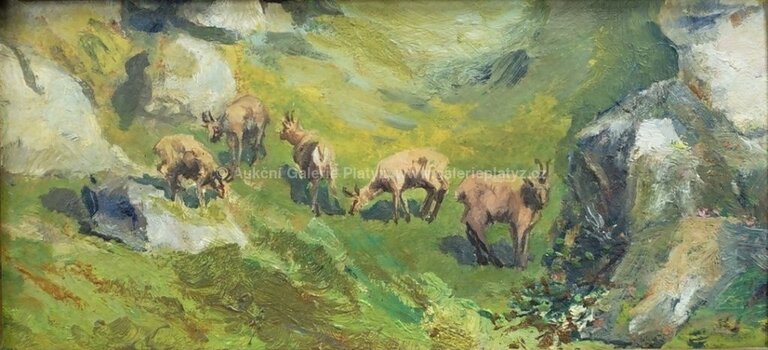  / Kamzíci / Viktor Barvitius