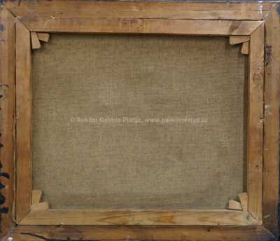  / Pohled na Pražský hrad / Alois Vladislav Vraný