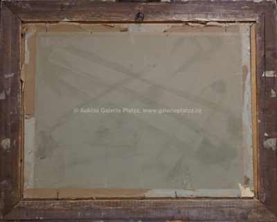  / Na poli / František Daněk - Sedláček