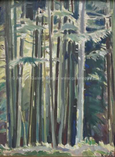  / Lesní interier / Karel Jílek