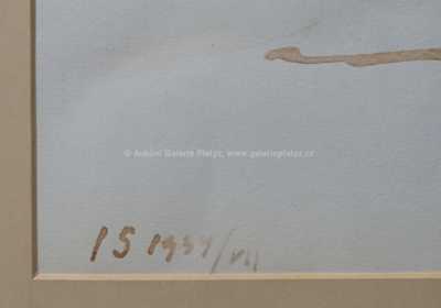  / Pohled do krajiny / Jan Slavíček