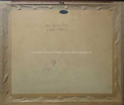  / Pohled do krajiny / Jan Slavíček