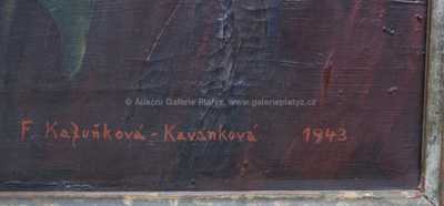 / Rozkvetlá kytice / Františka Kafuňková-Kavánková