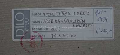  / Večer na Václavském náměstí / František  Turek