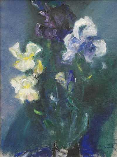  / Kosatce / František Jiroudek