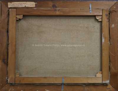  / Mladá Vožice / Ota Bubeníček