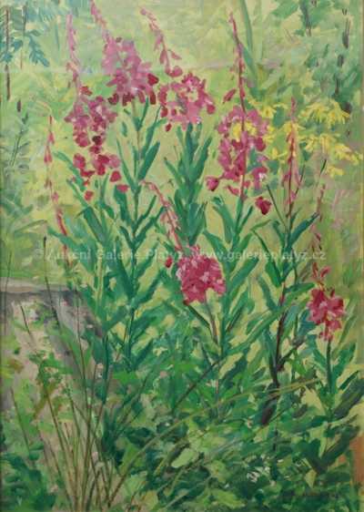  / Luční kvítí / Julie Mezerová-Winterová