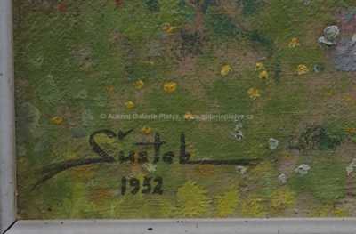  / Rozkvetlý pohled / Karel Šustek