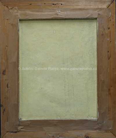  / Rozkvetlý pohled / Karel Šustek