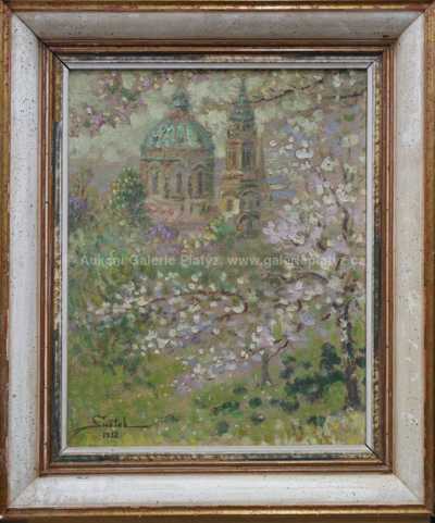 Karel Šustek - Rozkvetlý pohled