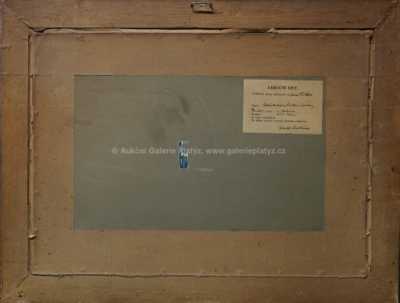  / Stará chalupa z Povltaví / František Daněk - Sedláček