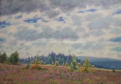  / Rozkvetlá louka / Bohumil Hradečný