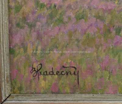  / Rozkvetlá louka / Bohumil Hradečný