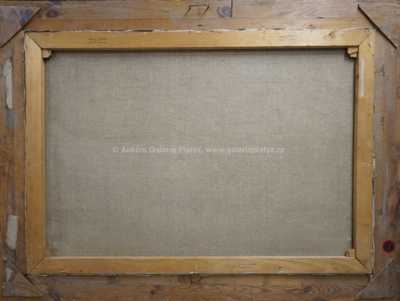  / Rozkvetlá louka / Bohumil Hradečný