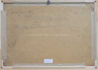  / Havárie / Božena Hliněnská-Kuhnová