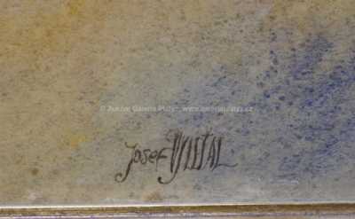  / Symbiózy / Josef Vyleťal