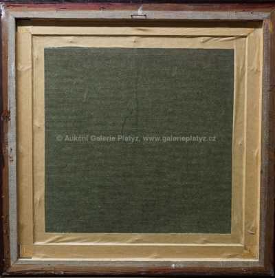  / Symbiózy / Josef Vyleťal