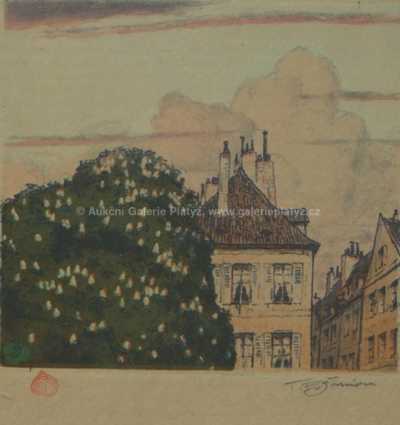  / Rozkvetlý kaštan / František Tavík Šimon