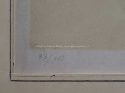  / Kytice / Max Švabinský