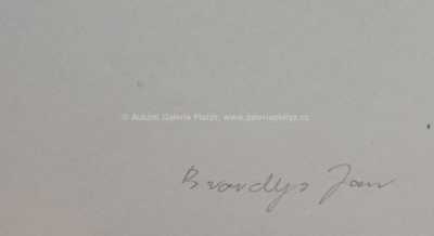  / Konvolut dvou kusů / Jan Adolf  Brandeis