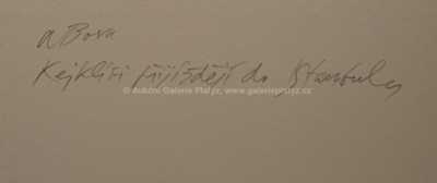  / Kejklíři přijíždějí do Istambulu / Adolf Born