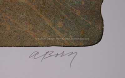  / Podivná setkání na Peloponesu / Adolf Born