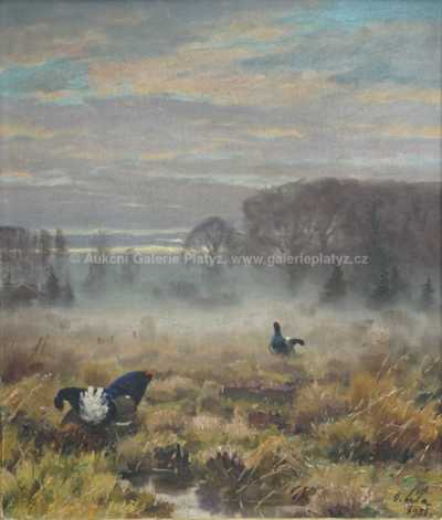 / Tetřívci v mlze / Otakar Číla