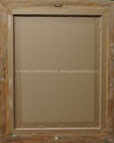  / Lekníny / Luděk Marold