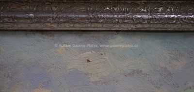  / Zamrzlá Vltava / Václav  Kozák