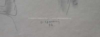  / Studie / Otakar Španiel