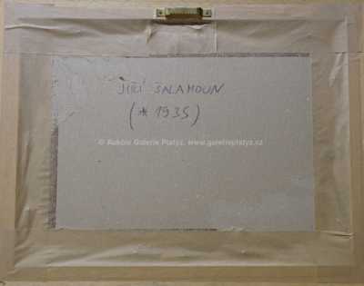  / Maxipes Fík / Jiří Šalamoun